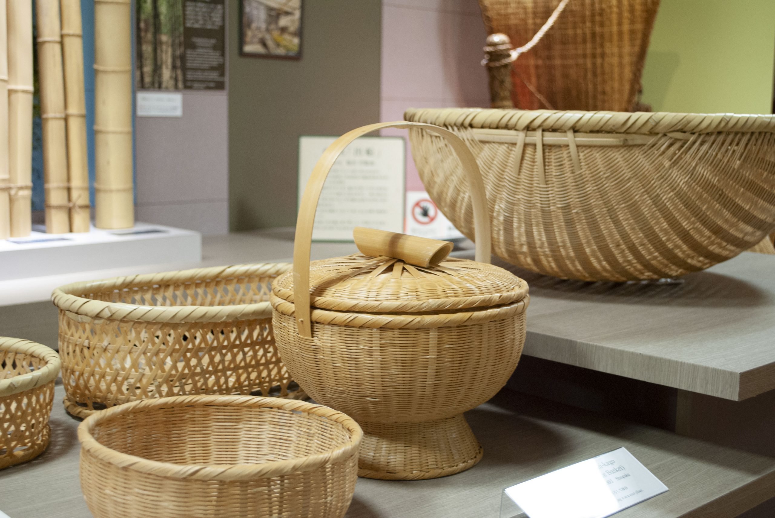 🏛️ 벳푸시 다케자이쿠 전통산업회관 이미지 4